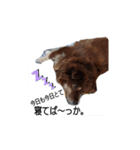 おコトさん（個別スタンプ：6）