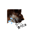 おコトさん（個別スタンプ：7）