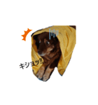 おコトさん（個別スタンプ：12）