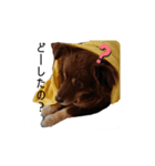 おコトさん（個別スタンプ：14）