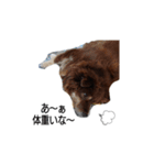 おコトさん（個別スタンプ：15）