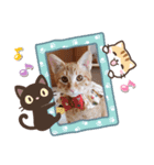 はじめまして むぎたんです（個別スタンプ：2）