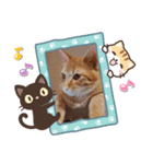 はじめまして むぎたんです（個別スタンプ：3）