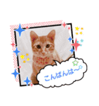 はじめまして むぎたんです（個別スタンプ：4）