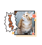 はじめまして むぎたんです（個別スタンプ：8）