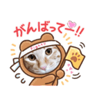 はじめまして むぎたんです（個別スタンプ：9）