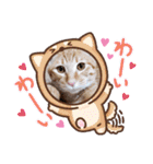 はじめまして むぎたんです（個別スタンプ：11）