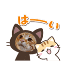 はじめまして むぎたんです（個別スタンプ：16）