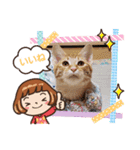 はじめまして むぎたんです（個別スタンプ：17）