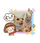 はじめまして むぎたんです（個別スタンプ：19）
