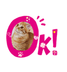 はじめまして むぎたんです（個別スタンプ：20）