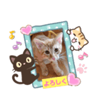 はじめまして むぎたんです（個別スタンプ：23）