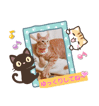 はじめまして むぎたんです（個別スタンプ：25）