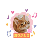 はじめまして むぎたんです（個別スタンプ：28）