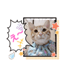 はじめまして むぎたんです（個別スタンプ：30）