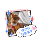 はじめまして むぎたんです（個別スタンプ：31）