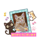 はじめまして むぎたんです（個別スタンプ：34）