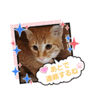 はじめまして むぎたんです（個別スタンプ：38）