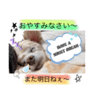 イッヌ君の日常（個別スタンプ：2）