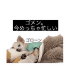 イッヌ君の日常（個別スタンプ：9）