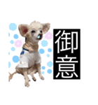 イッヌ君の日常（個別スタンプ：20）