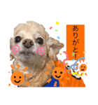 イッヌ君の日常（個別スタンプ：21）