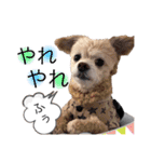 イッヌ君の日常（個別スタンプ：26）