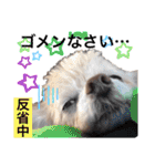 イッヌ君の日常（個別スタンプ：27）