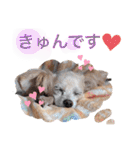 イッヌ君の日常（個別スタンプ：28）