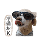イッヌ君の日常（個別スタンプ：32）