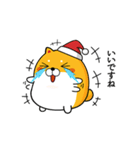 白いフェイフェイ犬6☆メリークリスマス☆（個別スタンプ：16）