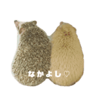もちぺんシスターズ（個別スタンプ：7）