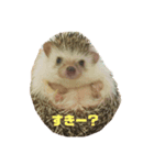 もちぺんシスターズ（個別スタンプ：10）