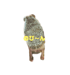 もちぺんシスターズ（個別スタンプ：14）