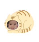 だいすき☆ほんわか赤ちゃん（個別スタンプ：10）