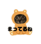 banchan's family（個別スタンプ：6）
