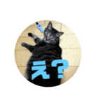banchan's family（個別スタンプ：8）