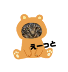 banchan's family（個別スタンプ：36）