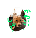 ウィルくん0607（個別スタンプ：5）