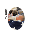 家族 1弾（個別スタンプ：3）