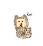 ポメポメカイ君（個別スタンプ：1）