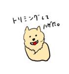 ポメポメカイ君（個別スタンプ：7）