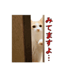風太が喋るスタンプ（個別スタンプ：32）