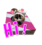 ゆずりんTVスタンプ(みかん)（個別スタンプ：11）