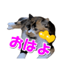 ゆずりんTVスタンプ(みかん)（個別スタンプ：14）