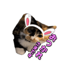 ゆずりんTVスタンプ(みかん)（個別スタンプ：21）