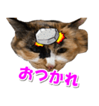 ゆずりんTVスタンプ(みかん)（個別スタンプ：22）