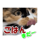 ゆずりんTVスタンプ(みかん)（個別スタンプ：27）