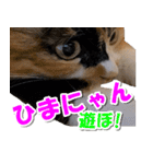 ゆずりんTVスタンプ(みかん)（個別スタンプ：29）