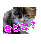ゆずりんTVスタンプ(みかん)（個別スタンプ：30）